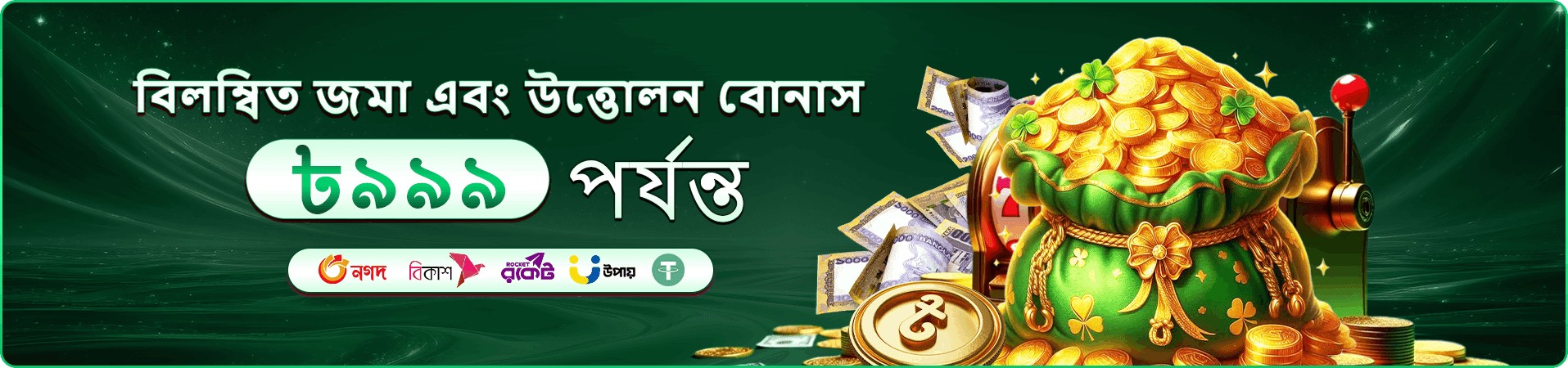 399b ভিআইপি visual 3